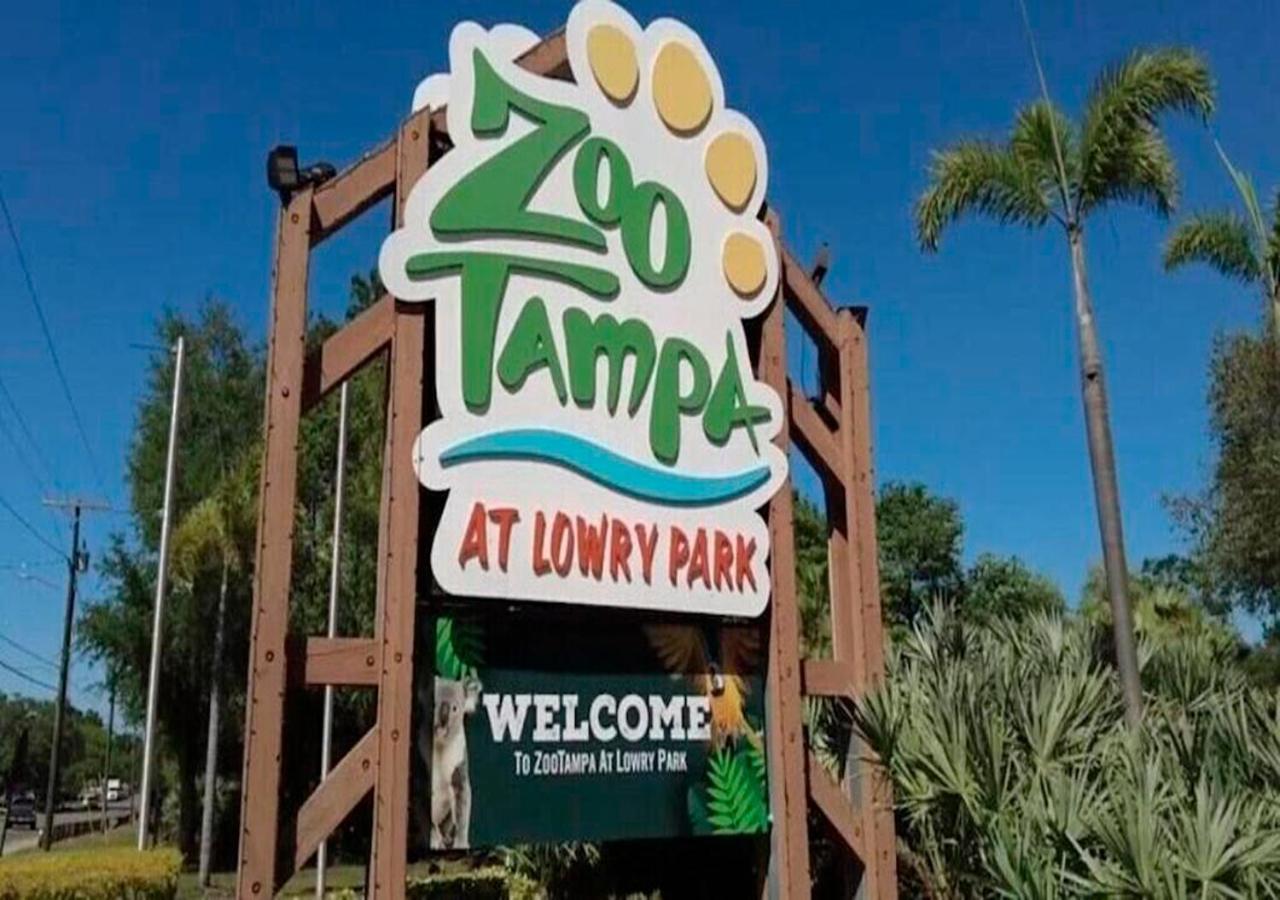 Busch Gardens Bliss -1 *